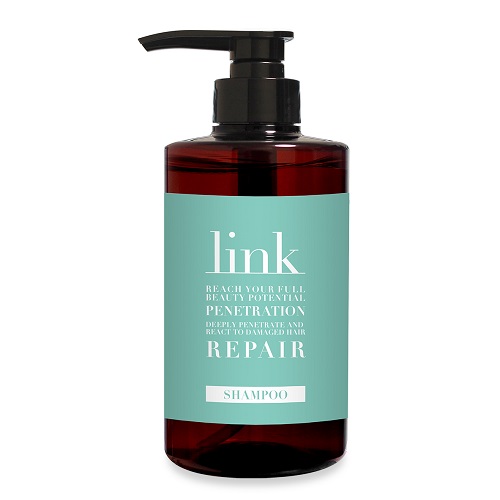 link リンク　シャンプー トリートメント　美容院専売　髪質改善 link シャンプー 500ml AIMHの通販・卸 | 4580042000108 | 理美容用品