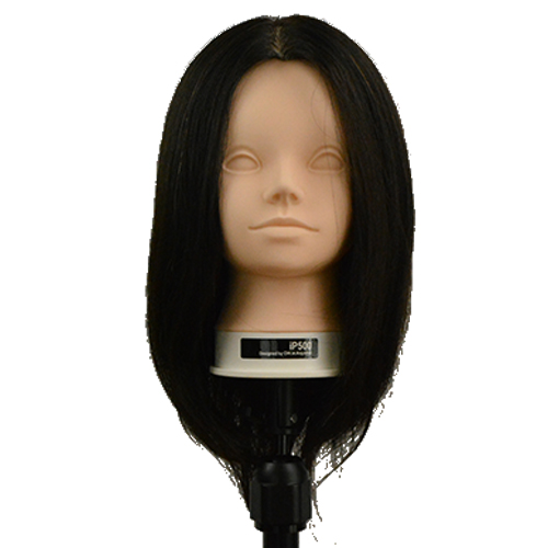 カットウィッグ　カットマネキン　ヘアアレンジ　ip500G 新品未使用 カットマネキン iP500 ユーロプレステージの通販・卸 | 4560149173011