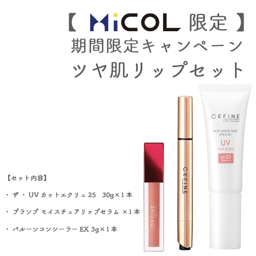 SPICARE V3ChristmasCoffret(クリスマスコフレ) 2024 BJCの通販・卸