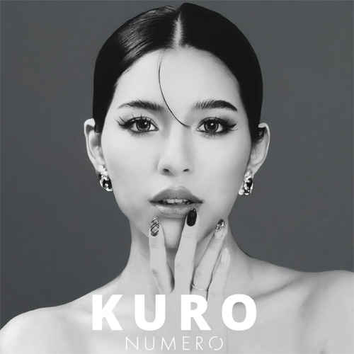 04662 NUMEROフラットラッシュ/KURO 長さMIX JC0.2×7-12mm 松風の通販