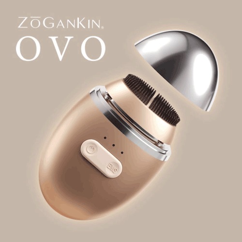 ZoGanKin ovo 美顔器 ゾーガンキン オーヴォ ウイルエーの通販・卸 | 4562134692705 | 理