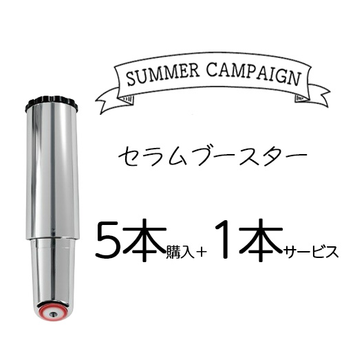 STELLABEAUTEレーザー&EMSリフトブラシ PRO 2.0 モンサントグレー