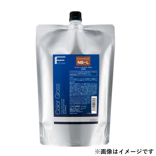 BLカラーグロス OB-L 900g FIOLEの通販・卸 | 4562210018276 | 理美容