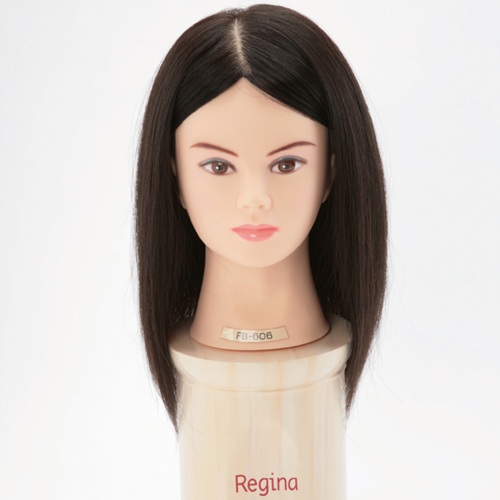 カットウィッグ　カットマネキン　ヘアアレンジ　ip500G 新品未使用 美容師 カットウィッグ マネキン 人毛100％ 茶髪 N.B.A.A. アリス