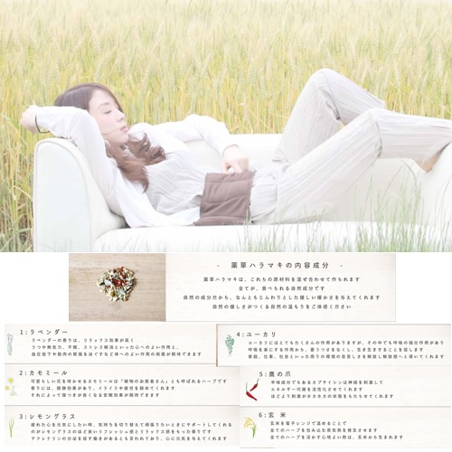 薬草ハラマキ その他の通販・卸 | 4589749510040 | 理美容用品商材総合