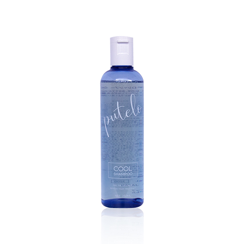 Putelo(プテロ) シャンプークール 250ml J.project（プテロ）の通販